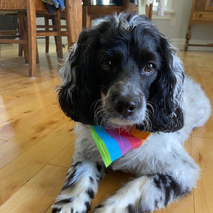 Meet your Posher, Taryn